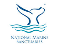 nms logo